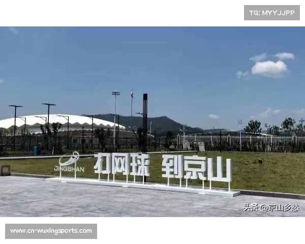 京山十万网球人口助力群众体育基础建设 办赛能力获全国认可 京山十万网球人口助力群众体育基础建设 办赛能力获全国认可